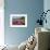 Pink Petunias, New England, USA-Lisa Engelbrecht-Framed Photographic Print displayed on a wall