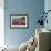 Pink Petunias, New England, USA-Lisa Engelbrecht-Framed Photographic Print displayed on a wall