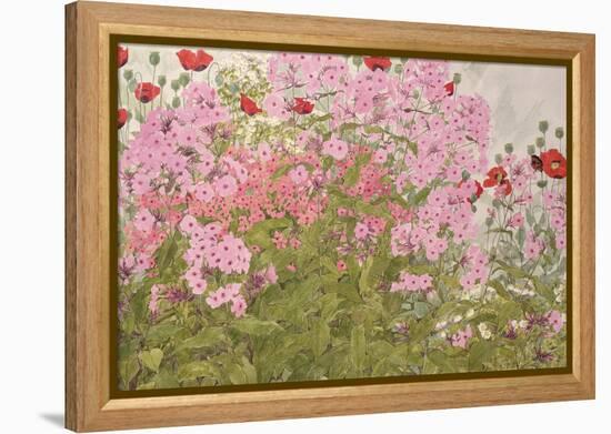 Pink Phlox and Poppies with a Butterfly-Linda Benton-Framed Premier Image Canvas
