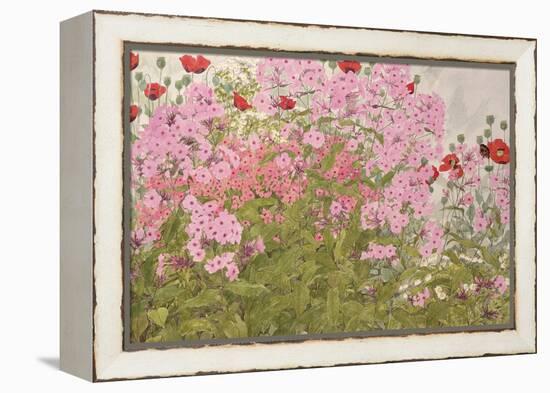 Pink Phlox and Poppies with a Butterfly-Linda Benton-Framed Premier Image Canvas