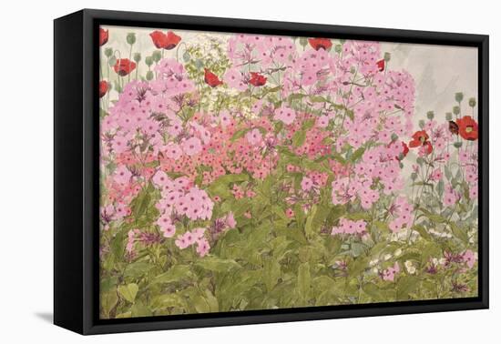 Pink Phlox and Poppies with a Butterfly-Linda Benton-Framed Premier Image Canvas