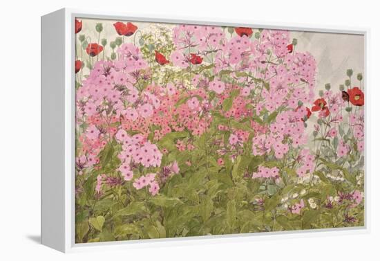 Pink Phlox and Poppies with a Butterfly-Linda Benton-Framed Premier Image Canvas