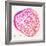 Pink Ponderosa-Cat Coquillette-Framed Giclee Print