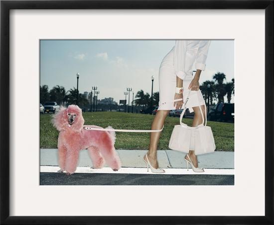 Pink Poodle-Arthur Belebeau-Framed Photographic Print