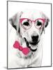 Pink Pop on Pup-Susan Bryant-Mounted Art Print