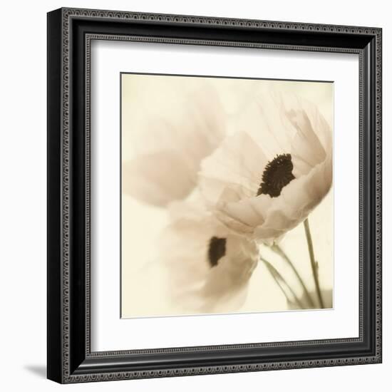 Pink Poppies-Judy Stalus-Framed Art Print