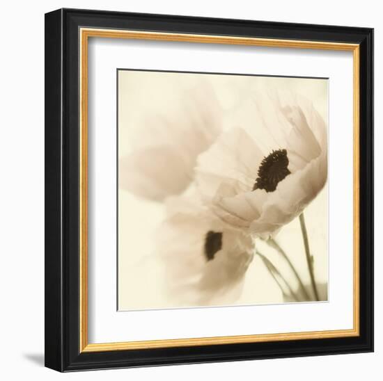 Pink Poppies-Judy Stalus-Framed Art Print