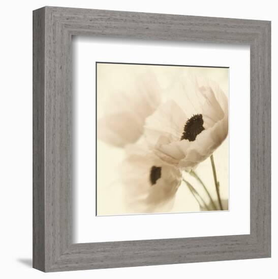 Pink Poppies-Judy Stalus-Framed Art Print