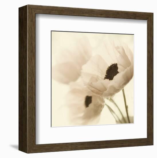 Pink Poppies-Judy Stalus-Framed Art Print