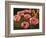 Pink Poppies-John Newcomb-Framed Premium Giclee Print