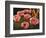 Pink Poppies-John Newcomb-Framed Premium Giclee Print