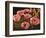 Pink Poppies-John Newcomb-Framed Premium Giclee Print