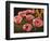 Pink Poppies-John Newcomb-Framed Premium Giclee Print