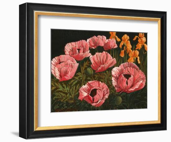 Pink Poppies-John Newcomb-Framed Premium Giclee Print