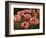 Pink Poppies-John Newcomb-Framed Premium Giclee Print