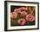 Pink Poppies-John Newcomb-Framed Giclee Print