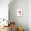 Pink Poppy-Albert Koetsier-Premium Giclee Print displayed on a wall