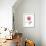 Pink Poppy-Albert Koetsier-Framed Premium Giclee Print displayed on a wall