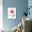 Pink Poppy-Albert Koetsier-Art Print displayed on a wall