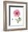 Pink Poppy-Albert Koetsier-Framed Art Print