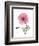 Pink Poppy-Albert Koetsier-Framed Art Print