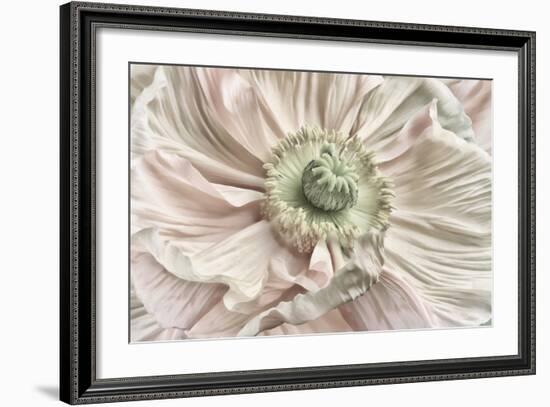 Pink Poppy-Cora Niele-Framed Photographic Print