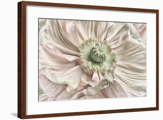 Pink Poppy-Cora Niele-Framed Photographic Print