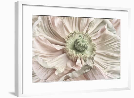 Pink Poppy-Cora Niele-Framed Photographic Print