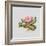 Pink primrose-Sally Crosthwaite-Framed Giclee Print