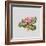 Pink primrose-Sally Crosthwaite-Framed Giclee Print