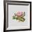 Pink primrose-Sally Crosthwaite-Framed Giclee Print