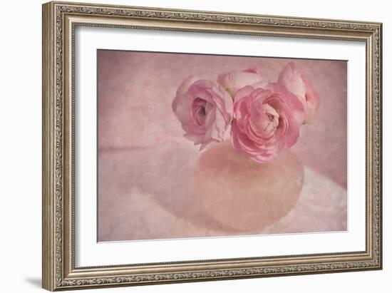 Pink Ranunculus Bouquet-Cora Niele-Framed Photographic Print