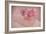 Pink Ranunculus Bouquet-Cora Niele-Framed Photographic Print