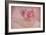 Pink Ranunculus Bouquet-Cora Niele-Framed Photographic Print