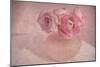Pink Ranunculus Bouquet-Cora Niele-Mounted Photographic Print