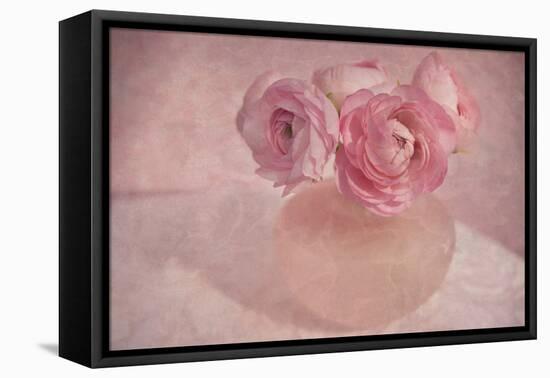 Pink Ranunculus Bouquet-Cora Niele-Framed Premier Image Canvas