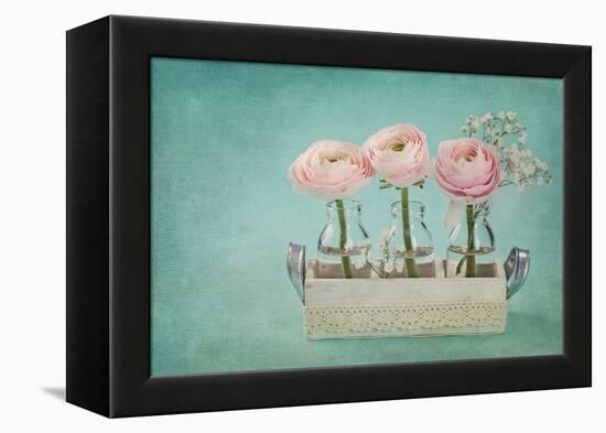 Pink Ranunculus Flowers on a Blue Background-egal-Framed Premier Image Canvas