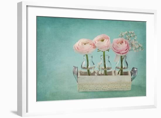 Pink Ranunculus Flowers on a Blue Background-egal-Framed Photographic Print