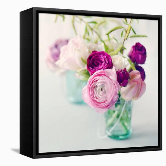 Pink Ranunculus-Sarah Gardner-Framed Stretched Canvas