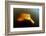 Pink River Dolphin - Boto (Inia Geoffrensis) Acajatuba Lake, Negro River, Amazonas, Brazil-Franco Banfi-Framed Photographic Print