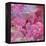 Pink Romance-Ruth Palmer-Framed Stretched Canvas