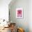 Pink Rose 2-Stacy Bass-Giclee Print displayed on a wall
