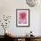 Pink Rose 2-Stacy Bass-Framed Giclee Print displayed on a wall