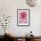 Pink Rose 2-Stacy Bass-Framed Giclee Print displayed on a wall