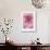 Pink Rose 2-Stacy Bass-Framed Giclee Print displayed on a wall