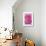 Pink Rose 3-Stacy Bass-Giclee Print displayed on a wall