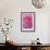 Pink Rose 3-Stacy Bass-Framed Giclee Print displayed on a wall