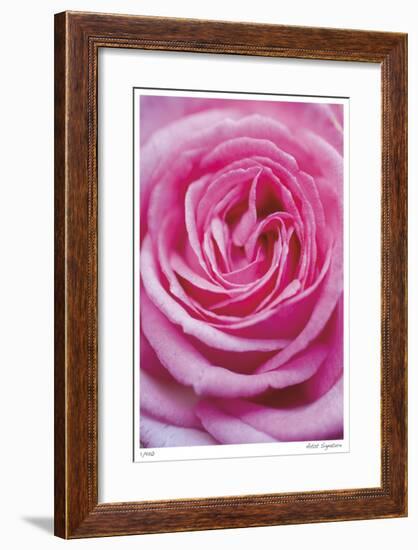 Pink Rose 3-Stacy Bass-Framed Giclee Print