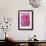 Pink Rose 3-Stacy Bass-Framed Giclee Print displayed on a wall