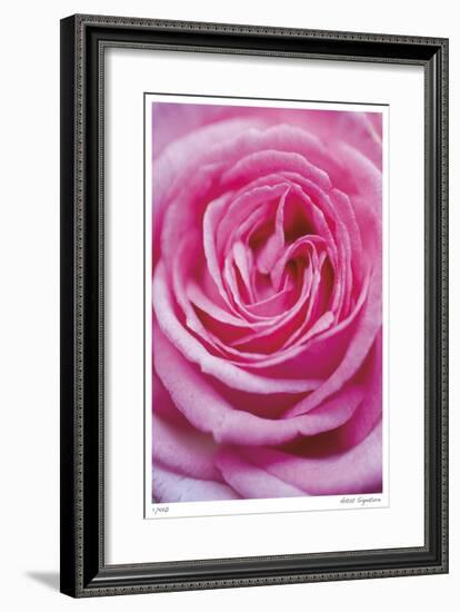 Pink Rose 3-Stacy Bass-Framed Giclee Print